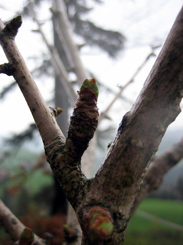 2010 05 01 A